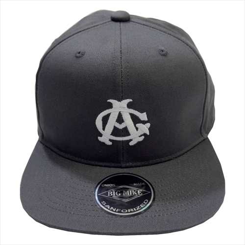 ビッグマイク | 【コラボ】ニグロリーグ コラボフラットバイザーCAP