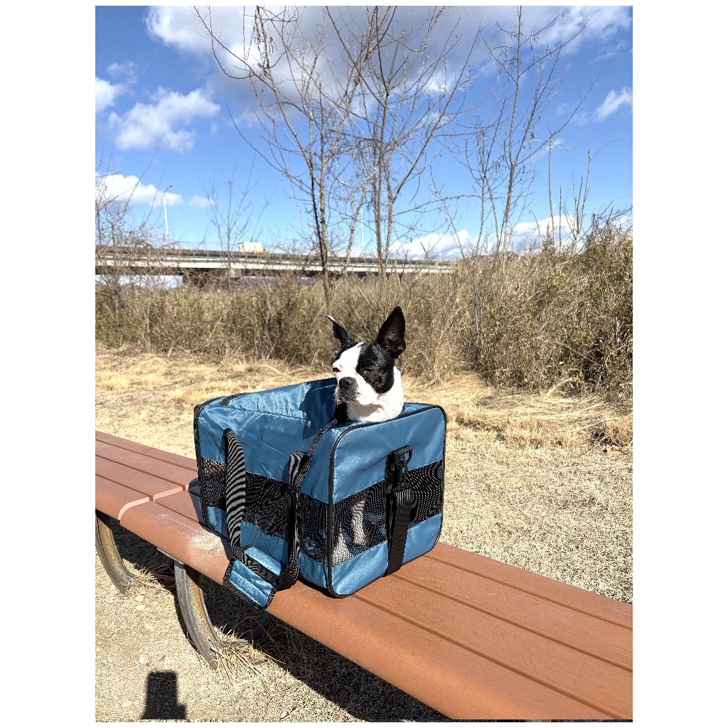 [ベン デイビス]BEN DAVIS 【PET CARRY BAG】