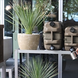 [ブリッド]MOLDING WATER TANK 10L with COVER