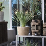 [ブリッド]MOLDING WATER TANK 20L with COVER