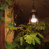 [ブリッド]PLANTS LIGHT 40 WARM