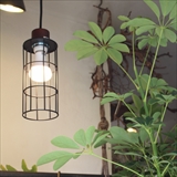 [ブリッド]PLANTS LIGHT 60 COOL