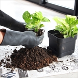 [ヒアバイディテール]Bottom Watering Pot “Large”