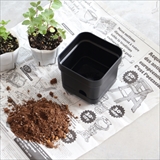 [ヒアバイディテール]Bottom Watering Pot “Small”