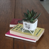 [ヒアバイディテール]Plant Pot w/stand 85