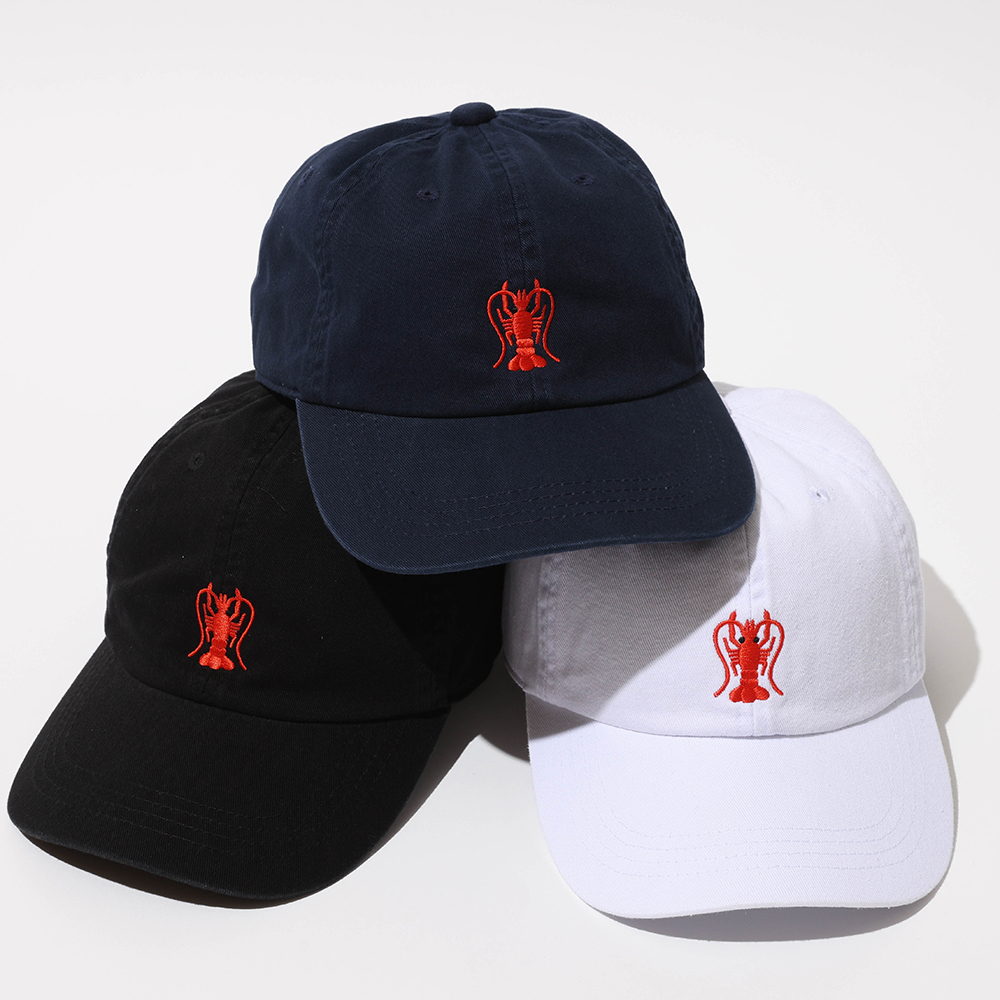 [デヴァドゥルガ]EBI CAP