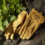 [ダナー×ゴーアウト]GLOVE(EXTRA GUARD)