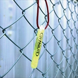 [グロースティック]グロースティック UV PAQLITE 4in