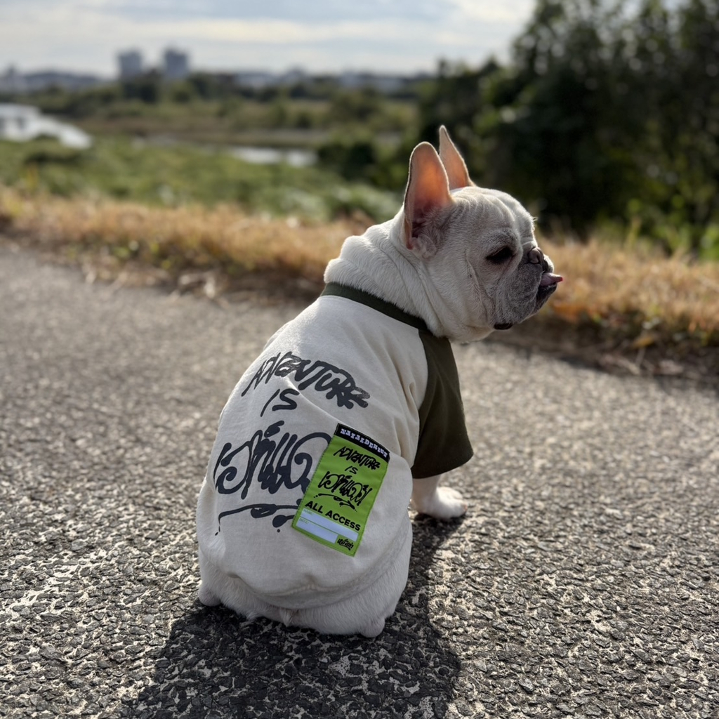 [チャービー×ネイタルデザイン]FB AIOT! Raglan yanggao ver.