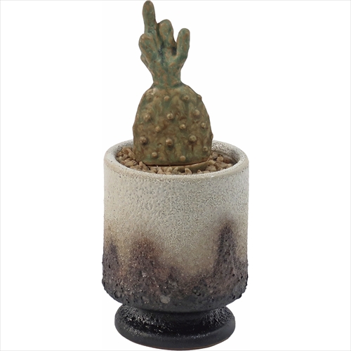 ポストジェネラル | THE CACTI POT | グリーン | GO OUT Online