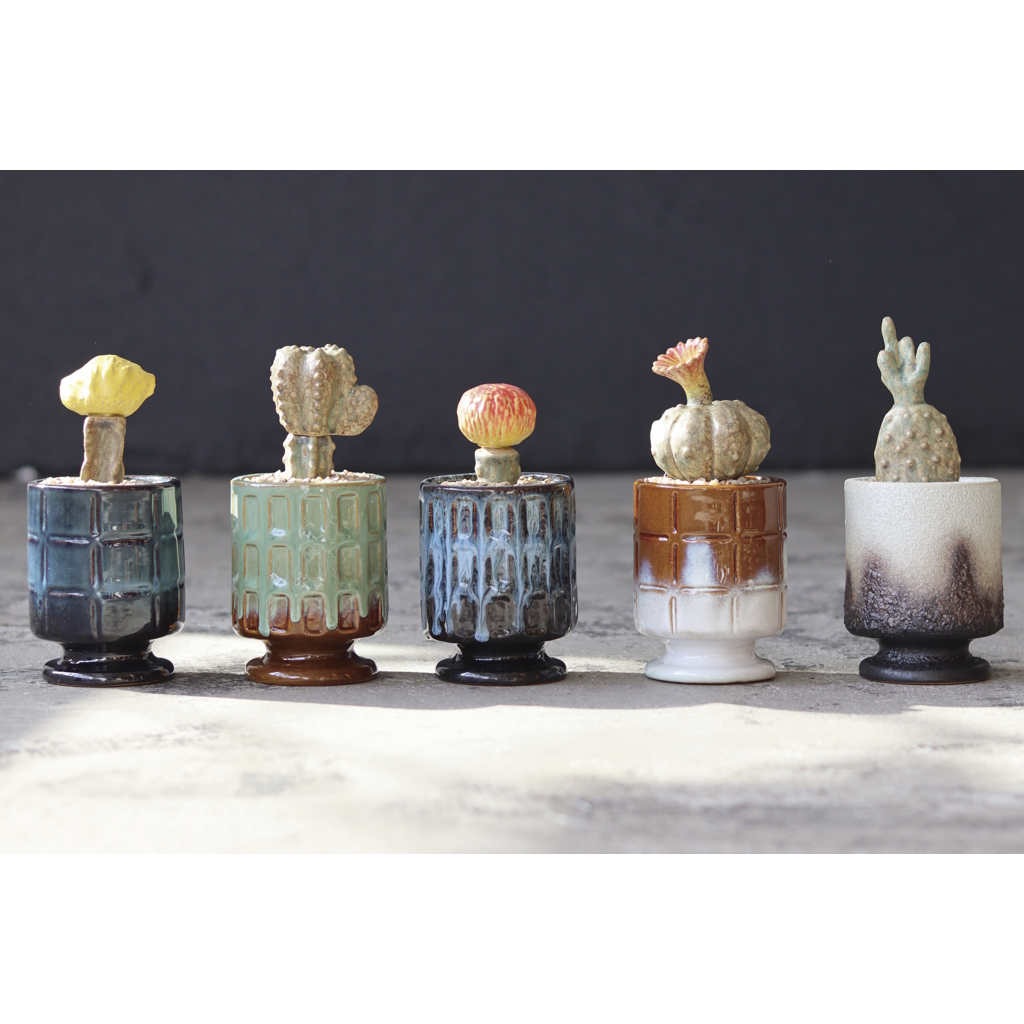 [ポストジェネラル]THE CACTI POT