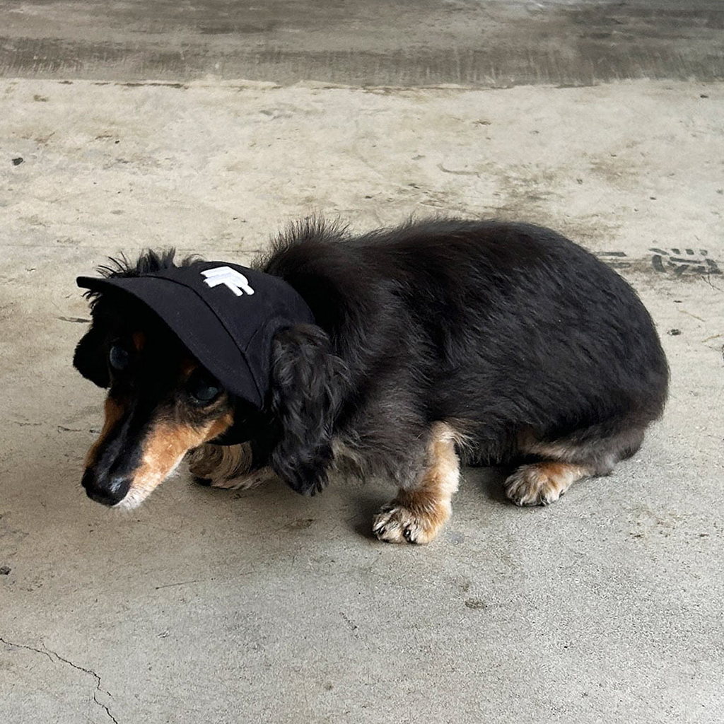 [パフ]PET CAP M