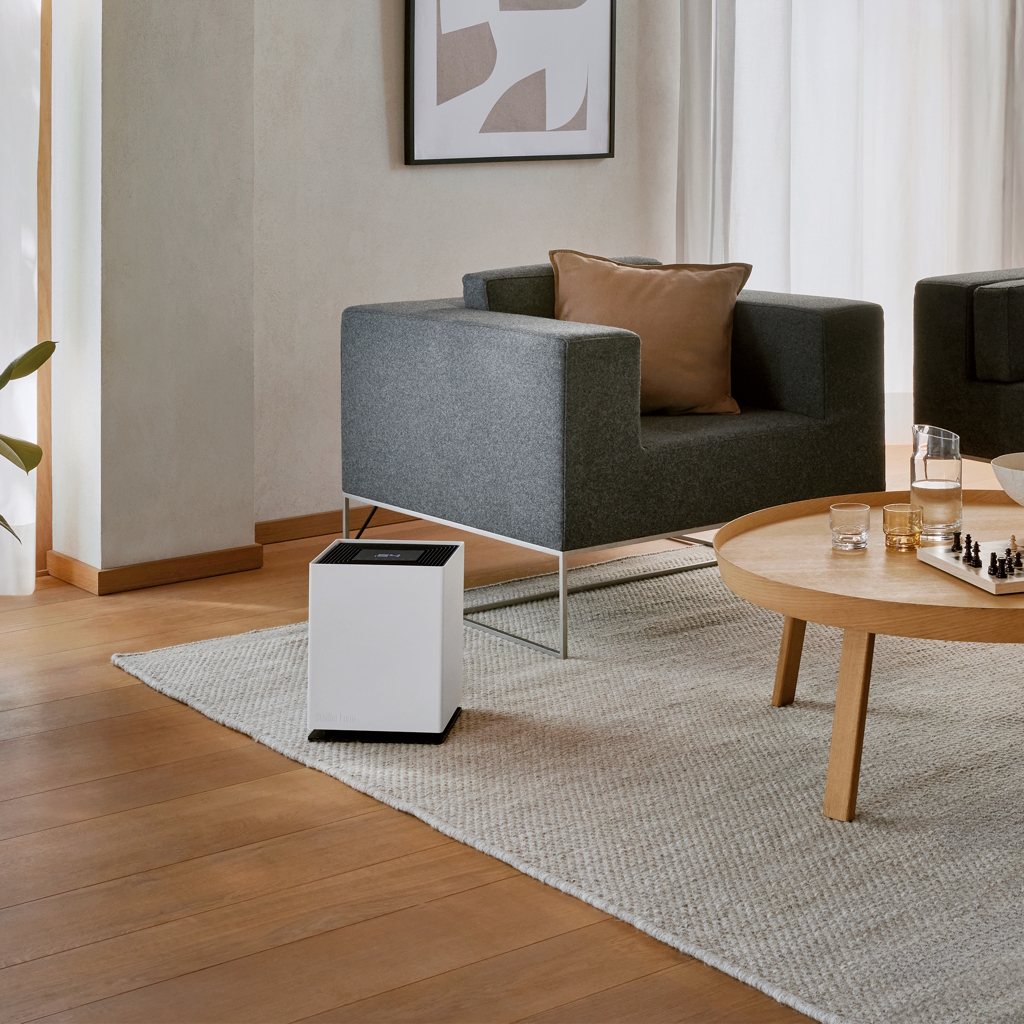 [スタドラーフォーム]Noah