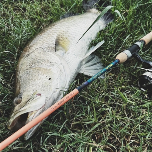 フィッシングツール