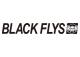 BLACK FLYS