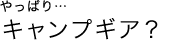 やっぱりキャンプギア?
